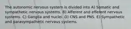 The autonomic nervous system is divided into A) Somatic and sympathetic nervous systems. B) Afferent and efferent nervous systems. C) Ganglia and nuclei. D) CNS and PNS. E) Sympathetic and parasympathetic nervous systems