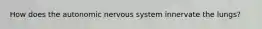 How does the autonomic nervous system innervate the lungs?
