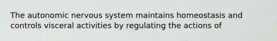 The autonomic nervous system maintains homeostasis and controls visceral activities by regulating the actions of