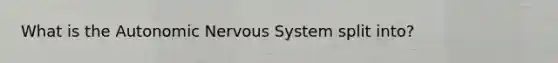 What is the Autonomic Nervous System split into?