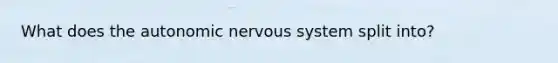 What does the autonomic nervous system split into?