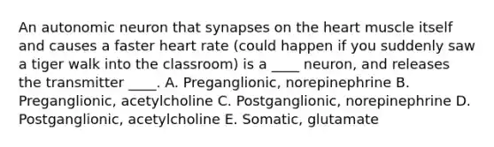 An autonomic neuron that synapses on the heart muscle itself and causes a faster heart rate (could happen if you suddenly saw a tiger walk into the classroom) is a ____ neuron, and releases the transmitter ____. A. Preganglionic, norepinephrine B. Preganglionic, acetylcholine C. Postganglionic, norepinephrine D. Postganglionic, acetylcholine E. Somatic, glutamate