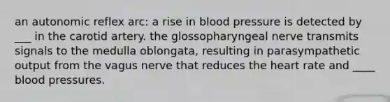 an autonomic reflex arc: a rise in blood pressure is detected by ___ in the carotid artery. the glossopharyngeal nerve transmits signals to the medulla oblongata, resulting in parasympathetic output from the vagus nerve that reduces the heart rate and ____ blood pressures.