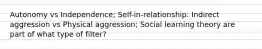 Autonomy vs Independence; Self-in-relationship: Indirect aggression vs Physical aggression; Social learning theory are part of what type of filter?