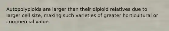 Autopolyploids are larger than their diploid relatives due to larger cell size, making such varieties of greater horticultural or commercial value.