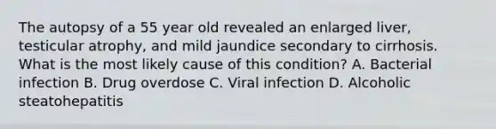 The autopsy of a 55 year old revealed an enlarged liver, testicular atrophy, and mild jaundice secondary to cirrhosis. What is the most likely cause of this condition? A. Bacterial infection B. Drug overdose C. Viral infection D. Alcoholic steatohepatitis