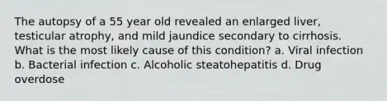 The autopsy of a 55 year old revealed an enlarged liver, testicular atrophy, and mild jaundice secondary to cirrhosis. What is the most likely cause of this condition? a. Viral infection b. Bacterial infection c. Alcoholic steatohepatitis d. Drug overdose