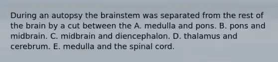 During an autopsy the brainstem was separated from the rest of the brain by a cut between the A. medulla and pons. B. pons and midbrain. C. midbrain and diencephalon. D. thalamus and cerebrum. E. medulla and the spinal cord.