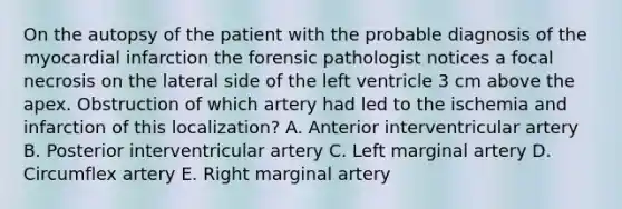 On the autopsy of the patient with the probable diagnosis of the myocardial infarction the forensic pathologist notices a focal necrosis on the lateral side of the left ventricle 3 cm above the apex. Obstruction of which artery had led to the ischemia and infarction of this localization? A. Anterior interventricular artery B. Posterior interventricular artery C. Left marginal artery D. Circumflex artery E. Right marginal artery