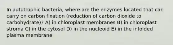 In autotrophic bacteria, where are the enzymes located that can carry on carbon fixation (reduction of carbon dioxide to carbohydrate)? A) in chloroplast membranes B) in chloroplast stroma C) in the cytosol D) in the nucleoid E) in the infolded plasma membrane