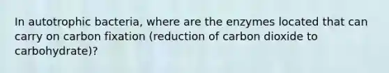 In autotrophic bacteria, where are the enzymes located that can carry on carbon fixation (reduction of carbon dioxide to carbohydrate)?