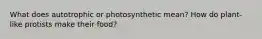 What does autotrophic or photosynthetic mean? How do plant-like protists make their food?