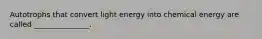 Autotrophs that convert light energy into chemical energy are called _______________.