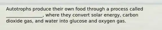 Autotrophs produce their own food through a process called ________________, where they convert solar energy, carbon dioxide gas, and water into glucose and oxygen gas.