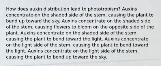 How does auxin distribution lead to phototropism? Auxins concentrate on the shaded side of the stem, causing the plant to bend up toward the sky. Auxins concentrate on the shaded side of the stem, causing flowers to bloom on the opposite side of the plant. Auxins concentrate on the shaded side of the stem, causing the plant to bend toward the light. Auxins concentrate on the light side of the stem, causing the plant to bend toward the light. Auxins concentrate on the light side of the stem, causing the plant to bend up toward the sky.