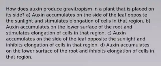 How does auxin produce gravitropism in a plant that is placed on its side? a) Auxin accumulates on the side of the leaf opposite the sunlight and stimulates elongation of cells in that region. b) Auxin accumulates on the lower surface of the root and stimulates elongation of cells in that region. c) Auxin accumulates on the side of the leaf opposite the sunlight and inhibits elongation of cells in that region. d) Auxin accumulates on the lower surface of the root and inhibits elongation of cells in that region.