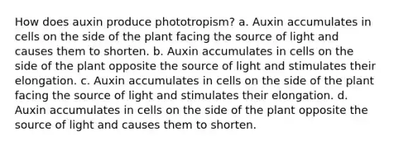 How does auxin produce phototropism? a. Auxin accumulates in cells on the side of the plant facing the source of light and causes them to shorten. b. Auxin accumulates in cells on the side of the plant opposite the source of light and stimulates their elongation. c. Auxin accumulates in cells on the side of the plant facing the source of light and stimulates their elongation. d. Auxin accumulates in cells on the side of the plant opposite the source of light and causes them to shorten.