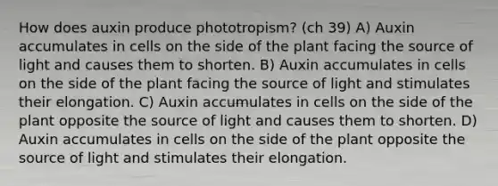 How does auxin produce phototropism? (ch 39) A) Auxin accumulates in cells on the side of the plant facing the source of light and causes them to shorten. B) Auxin accumulates in cells on the side of the plant facing the source of light and stimulates their elongation. C) Auxin accumulates in cells on the side of the plant opposite the source of light and causes them to shorten. D) Auxin accumulates in cells on the side of the plant opposite the source of light and stimulates their elongation.