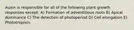 Auxin is responsible for all of the following plant growth responses except: A) Formation of adventitious roots B) Apical dominance C) The detection of photoperiod D) Cell elongation E) Phototropism