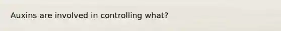 Auxins are involved in controlling what?