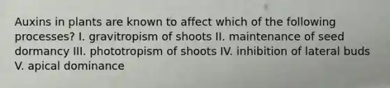 Auxins in plants are known to affect which of the following processes? I. gravitropism of shoots II. maintenance of seed dormancy III. phototropism of shoots IV. inhibition of lateral buds V. apical dominance