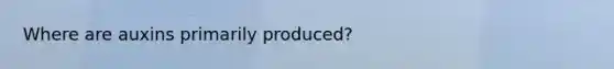 Where are auxins primarily produced?