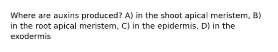 Where are auxins produced? A) in the shoot apical meristem, B) in the root apical meristem, C) in the epidermis, D) in the exodermis