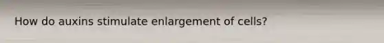 How do auxins stimulate enlargement of cells?