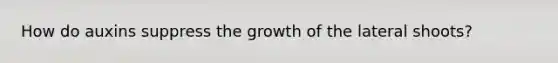 How do auxins suppress the growth of the lateral shoots?