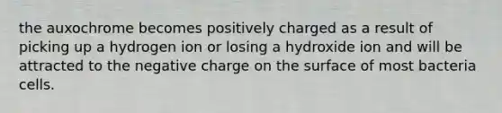 the auxochrome becomes positively charged as a result of picking up a hydrogen ion or losing a hydroxide ion and will be attracted to the negative charge on the surface of most bacteria cells.