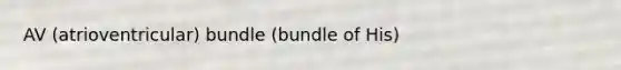 AV (atrioventricular) bundle (bundle of His)