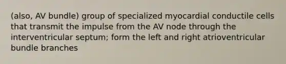 (also, AV bundle) group of specialized myocardial conductile cells that transmit the impulse from the AV node through the interventricular septum; form the left and right atrioventricular bundle branches