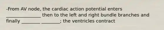 -From AV node, the cardiac action potential enters _______________ then to the left and right bundle branches and finally ________ ________; the ventricles contract