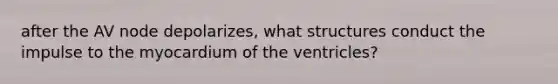 after the AV node depolarizes, what structures conduct the impulse to the myocardium of the ventricles?