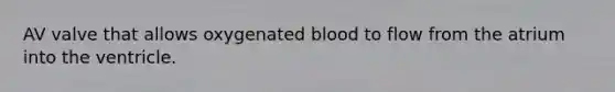 AV valve that allows oxygenated blood to flow from the atrium into the ventricle.