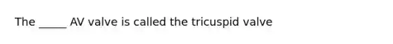 The _____ AV valve is called the tricuspid valve