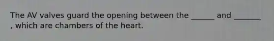 The AV valves guard the opening between the ______ and _______ , which are chambers of the heart.