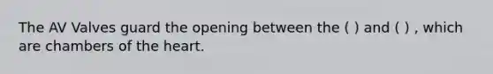 The AV Valves guard the opening between the ( ) and ( ) , which are chambers of the heart.