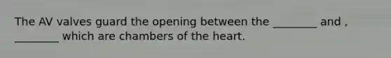 The AV valves guard the opening between the ________ and , ________ which are chambers of the heart.