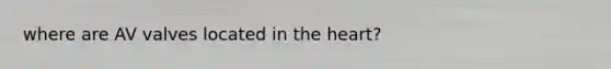 where are AV valves located in the heart?