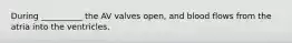 During __________ the AV valves open, and blood flows from the atria into the ventricles.