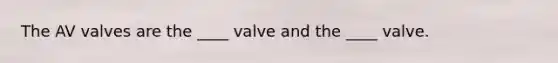 The AV valves are the ____ valve and the ____ valve.