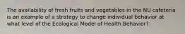 The availability of fresh fruits and vegetables in the NU cafeteria is an example of a strategy to change individual behavior at what level of the Ecological Model of Health Behavior?