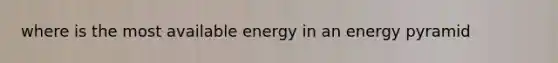 where is the most available energy in an energy pyramid