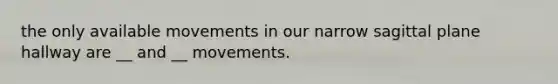 the only available movements in our narrow sagittal plane hallway are __ and __ movements.