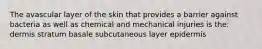 The avascular layer of the skin that provides a barrier against bacteria as well as chemical and mechanical injuries is the: dermis stratum basale subcutaneous layer epidermis