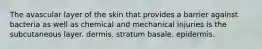 The avascular layer of the skin that provides a barrier against bacteria as well as chemical and mechanical injuries is the subcutaneous layer. dermis. stratum basale. epidermis.