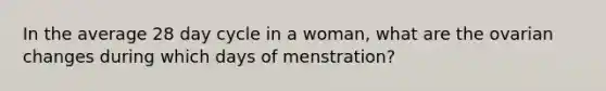 In the average 28 day cycle in a woman, what are the ovarian changes during which days of menstration?