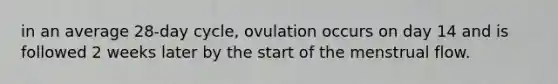 in an average 28-day cycle, ovulation occurs on day 14 and is followed 2 weeks later by the start of the menstrual flow.