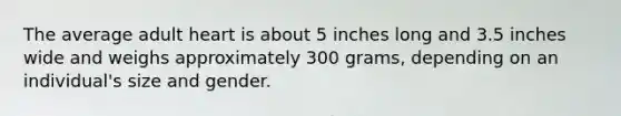 The average adult heart is about 5 inches long and 3.5 inches wide and weighs approximately 300 grams, depending on an individual's size and gender.